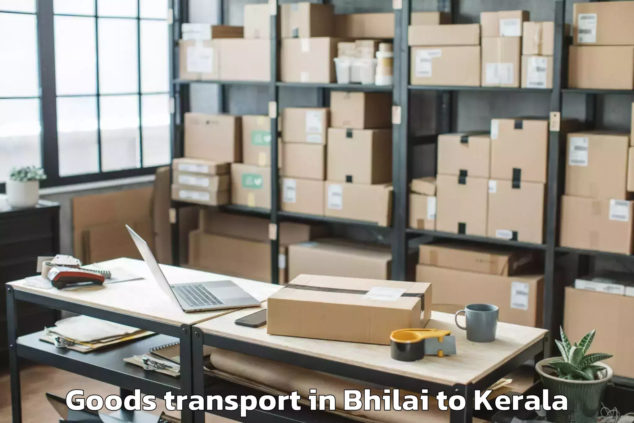 Hassle-Free Bhilai to Kannur University Kannur Goods Transport